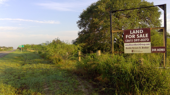 Live Oak Ranch property photo 2