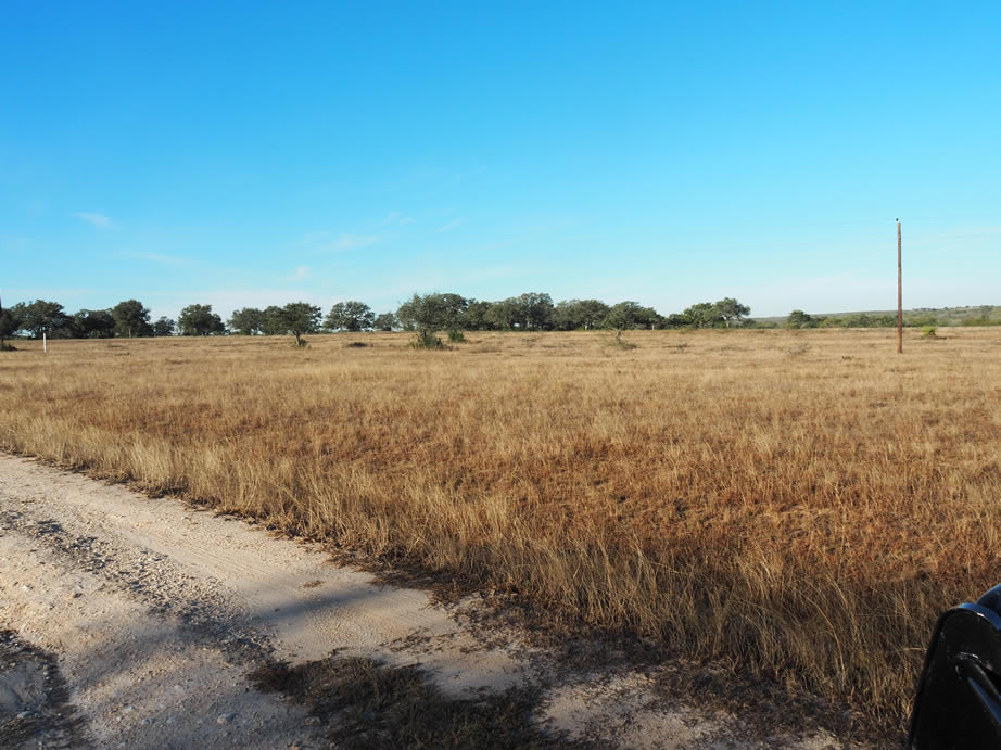 Brush Country Retreat property photo 7