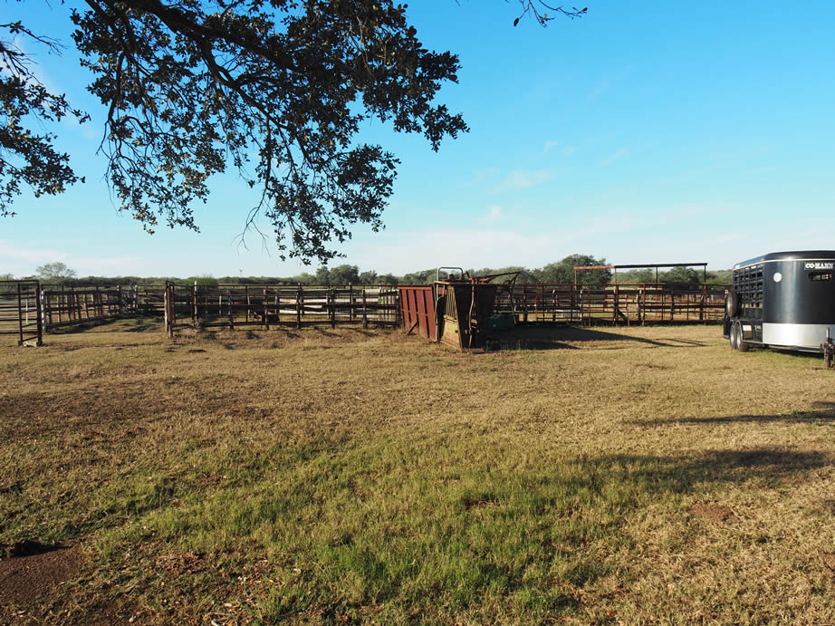 Brush Country Retreat property photo 1