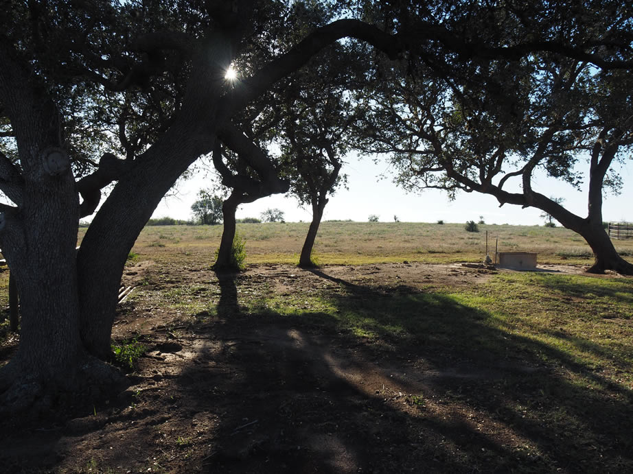 Brush Country Retreat property photo 3
